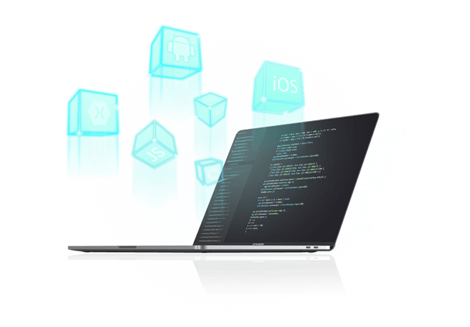 Web Portal Development